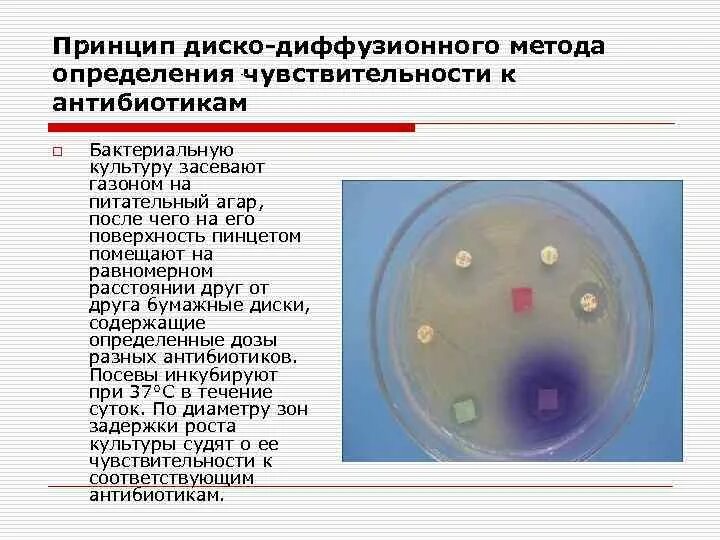 Диффузный анализ. Чувствительность к антибиотикам диско-диффузионным методом. Диско-диффузионный метод определения чувствительности к антибиотику. Метод определения чувствительности микробов к антибиотикам. Диско диффузный метод определения чувствительности.