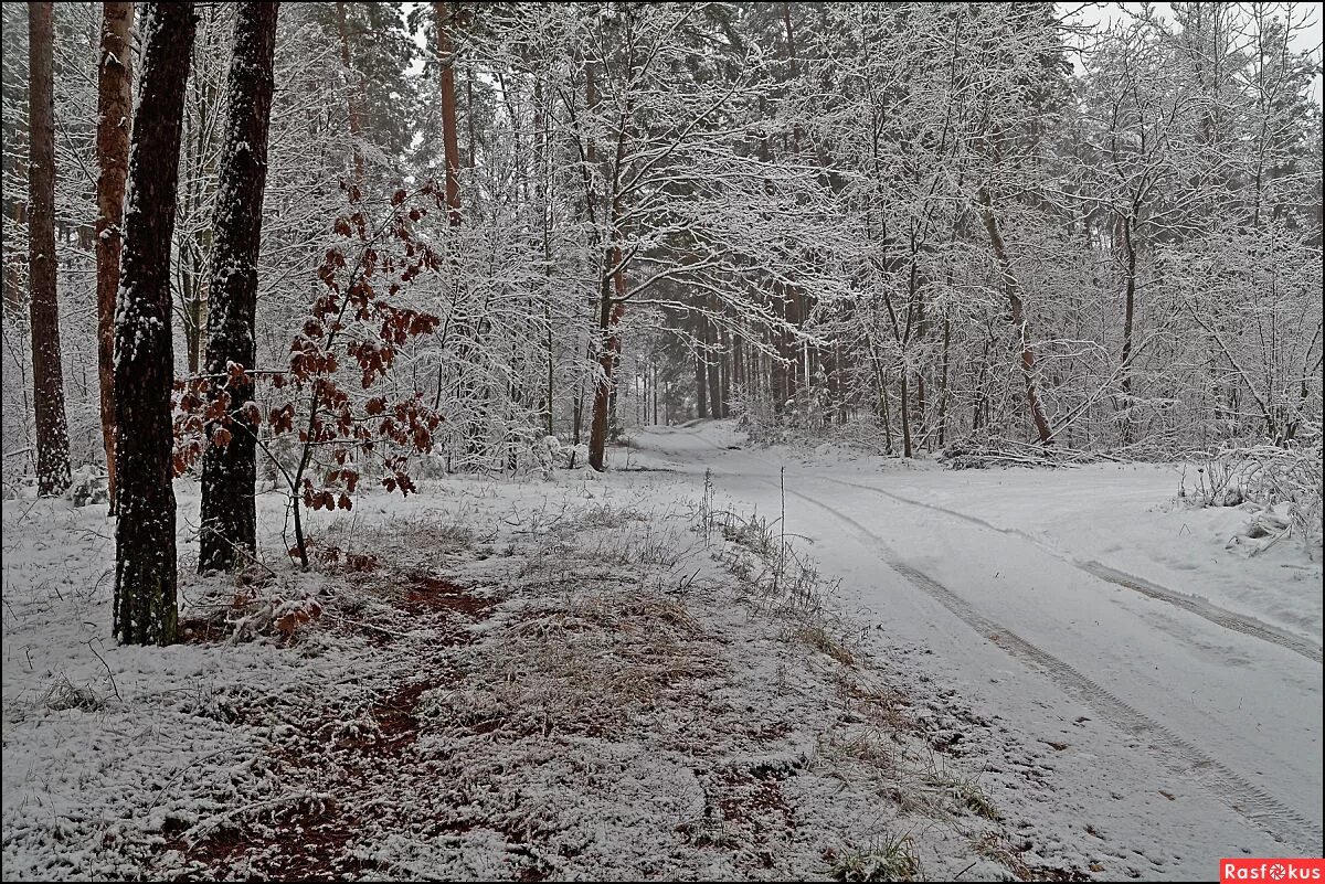 две зимы и три лета (2013) сергей маковецкий. фильм две зимы и три лета.