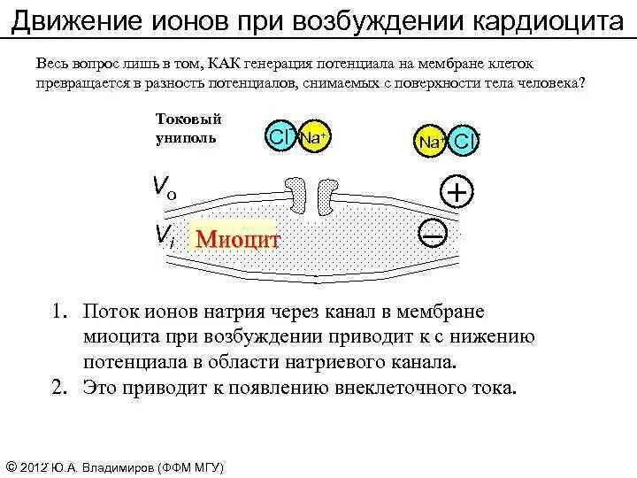 Вокруг движущегося иона существует существуют