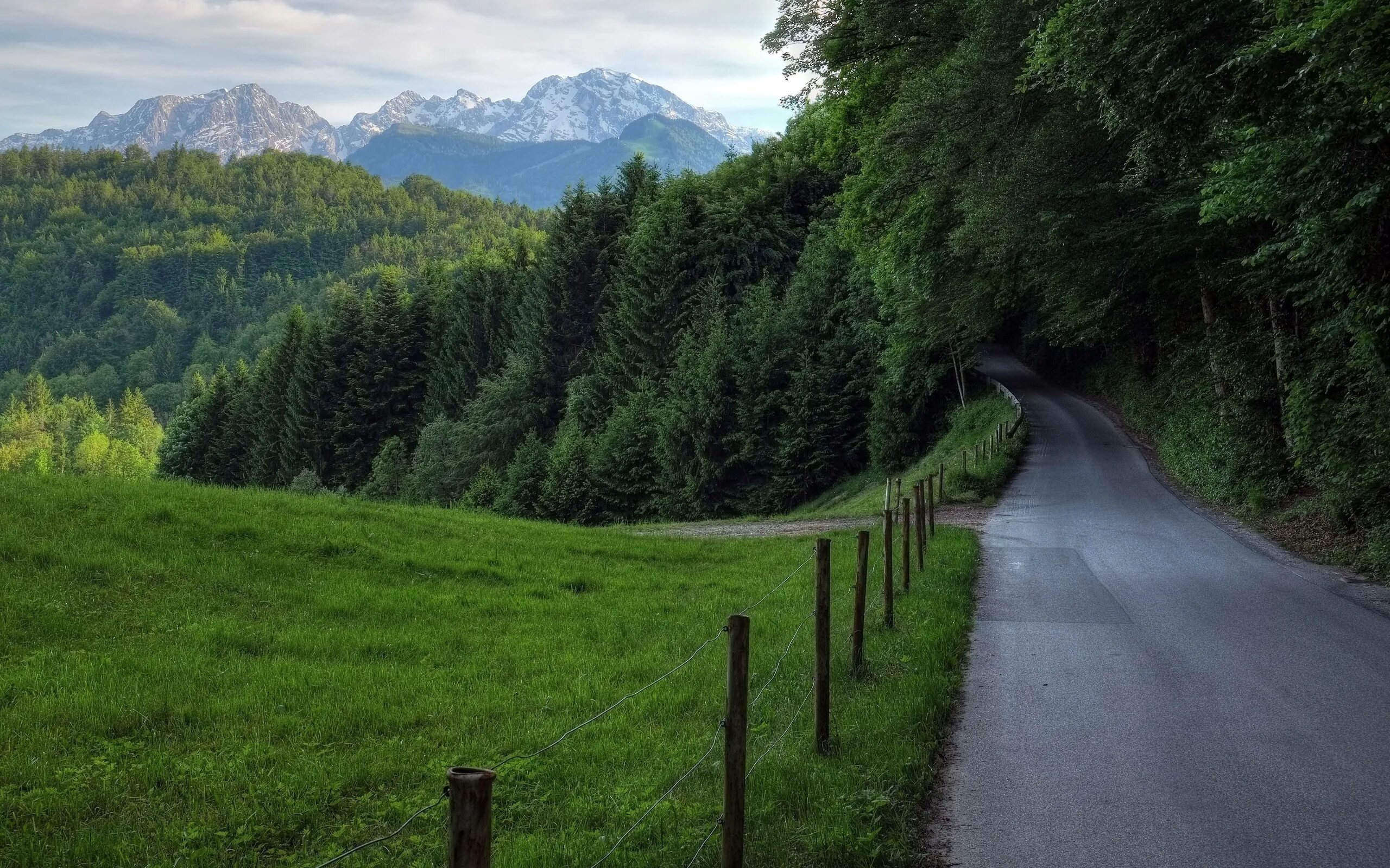 Wide road. Горы лес дорога Австрия. Швейцария дорога лес. Красивые дороги. Дорога в гору.