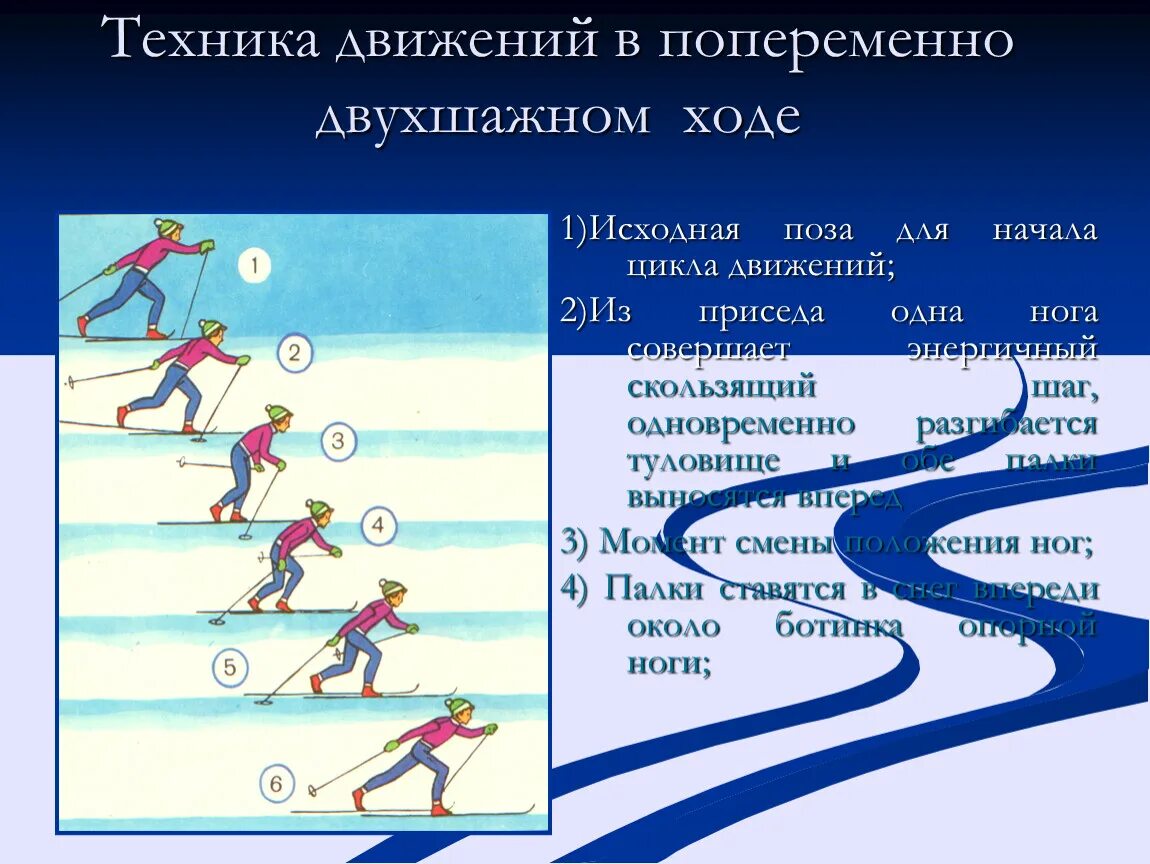 Попеременный двухшажный ход техника. Техники лыжного хода попеременный двухшажный. Техника лыжного хода попеременный двухшажный ход. Техника выполнения попеременного двухшажного хода. Элементы передвижения на лыжах