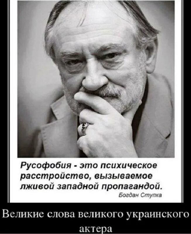 Русофобия что это означает. Русофобия. Русофобские высказывания. Русофобия это психическое расстройство.