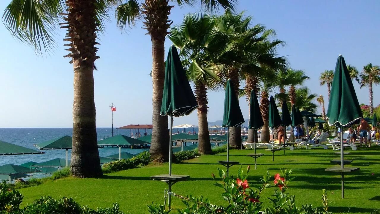 Seagull hotel 4. Отель sea gull 4. отель sea gull турция. sea gull 4 турция. sea gull hotel 4 турция кемер beldibi.