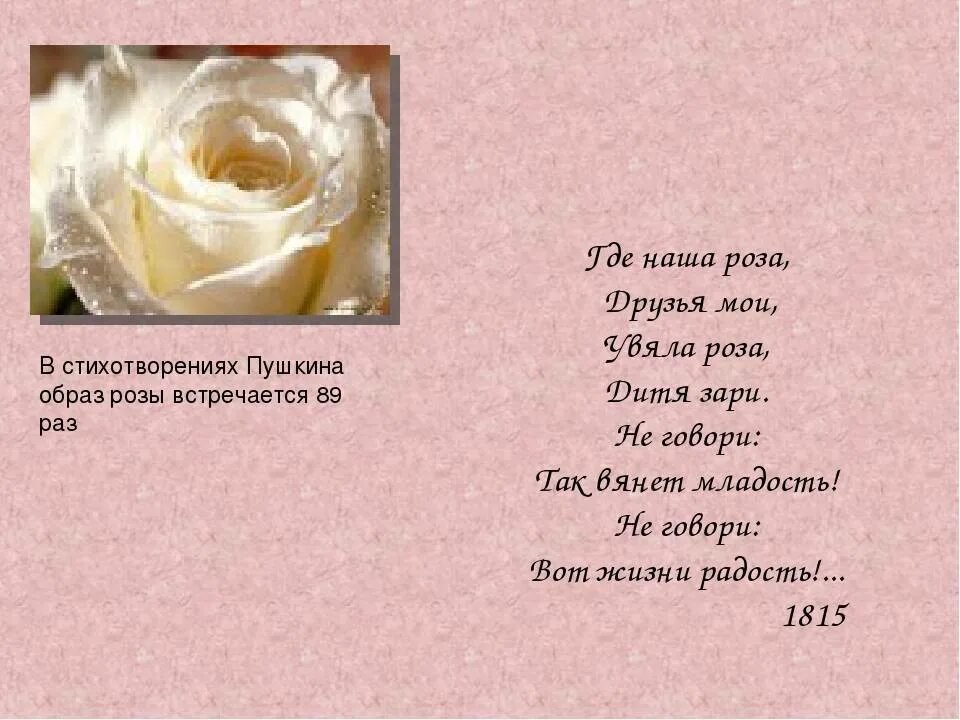 Читать стих вы любите розы