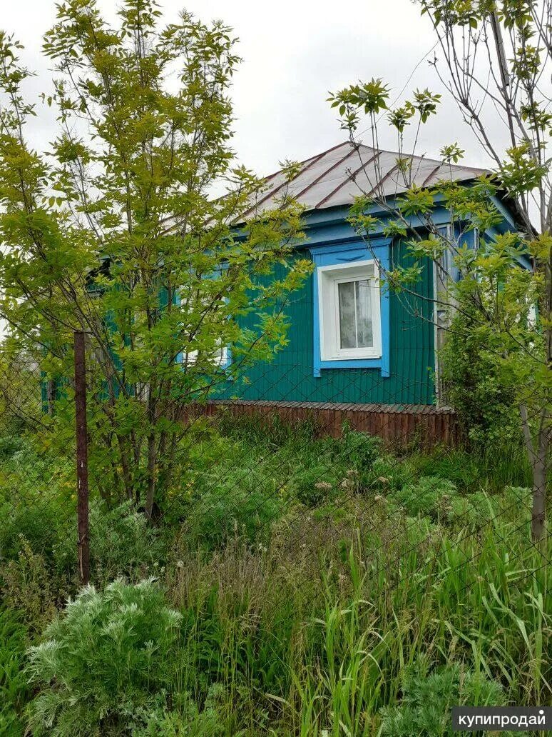 Большая Рельня Лысогорский район. Саратовская область большая Рельня. Лысогорский район Саратовская область коттеджи. Улица Заречная 7 Саратов. Погода большой рельне саратовской области лысогорского района