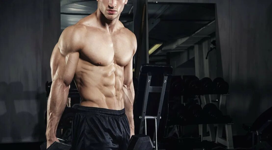 Building your body