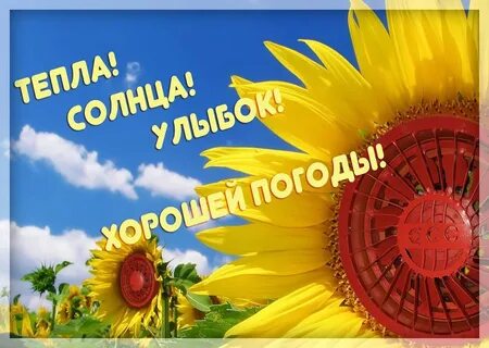 Следующий последний месяц лета