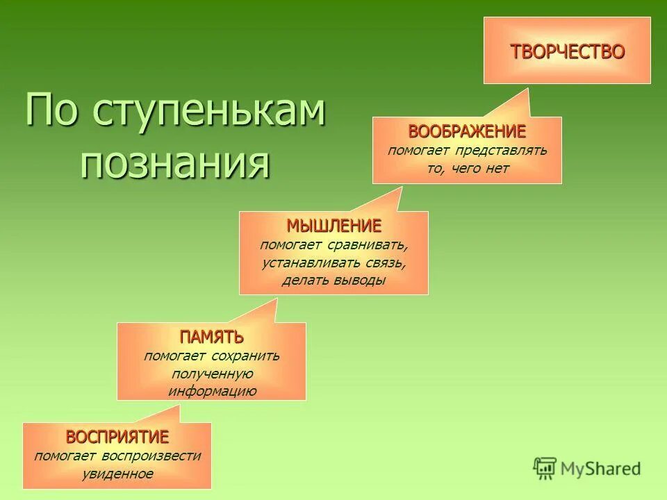 Сочинение на тему воображение из жизни. Ступени познания в психологии. Воображение понятие. Формы мышления и воображения.