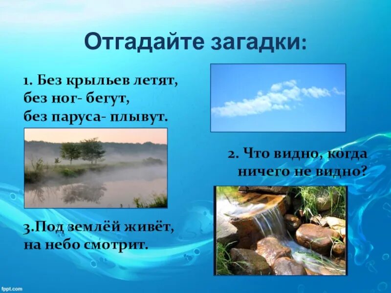 Загадка в воде живет. Загадки про охрану воды. Загадки о воде для детей дошкольного возраста. Загадки про воду для дошкольников. Детские загадки про воду.