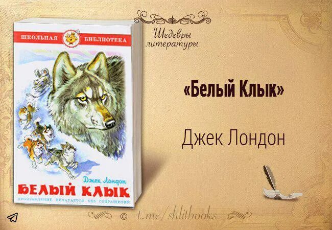 Краткое содержание джека лондона волк. 115 Лет – «белый клык», д. Лондон (1906). Белый клык Джек Лондон рисунок. Обложка книги белый клык Джек Лондон. Джек Лондон белый клык о Автор.