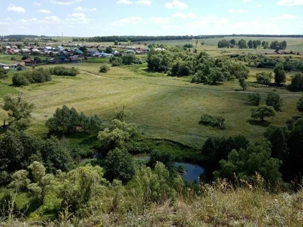 Погода бикмурзино пензенской. Ферма Бикмурзино верхний Качмаш.