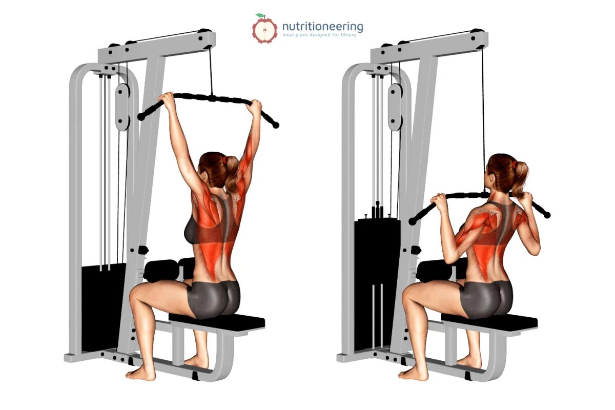Техника выполнения верхнего блока. Lat Pulldown. Wide Pulldown. Pure Pulldown BLK/YLW/BLK.