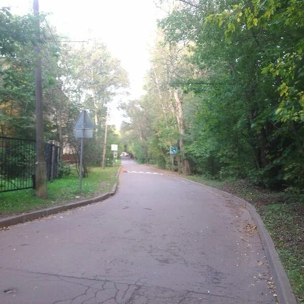 Зеленый мост в долгопрудном на островке. Водники островок. Островок долгопрудный. Зеленый мост в долгопрудном на островке. Долгопрудный островок фото.
