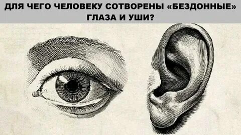 Нос. Глаза соединены с носом. Евстахиева труба анатомия. Евстахиева труба анатомия. Евстахиева труба, евстахиит.