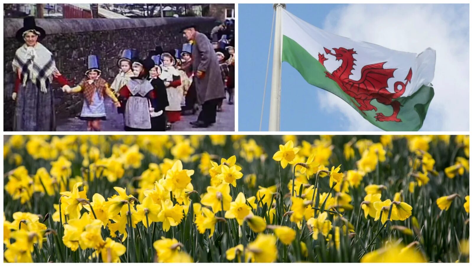 St David s Day Wales. St David's Day в Великобритании. Праздник Святого Давида в Уэльсе. День святого в уэльсе