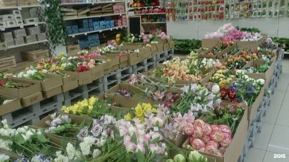 букеты на витрину. бизнес букет на нарымской. флористический центр. бизнес букет в новосибирске нарымская. бизнес букет в новосибирске.