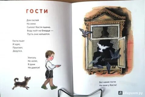 Для гостей на окно сыплет костя пшено
