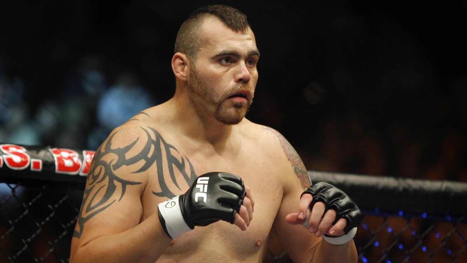 Ufc 44