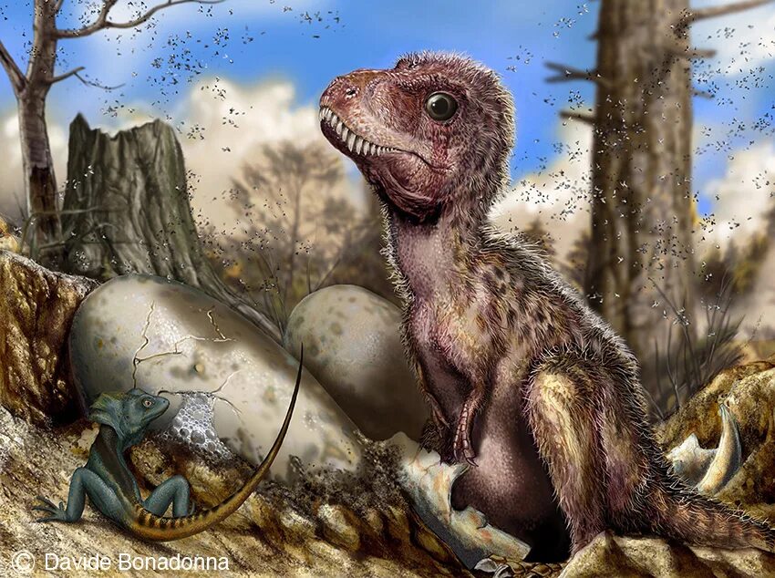 Тираннозавр палеоарт. Тираннозавр рекс детеныш. Динозавры палеоарт. Гнездо тираннозавра.