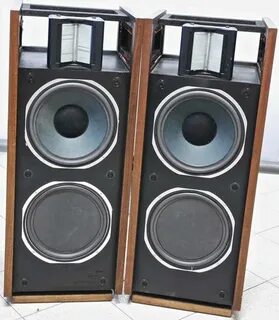 The speaker wants