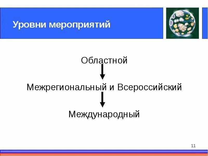 Участие в мероприятиях различного уровня 7 класс таблица. Мероприятия муниципального уровня. Уровень школьного мероприятия. Уровень мероприятия какой бывает. Муниципальный уровень это.
