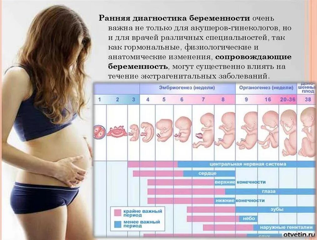 Через сколько дней день женщин. Беременность на ранних сроках. Беременность на оазных.сроках. Беременна ранний срок. Признаки беременности.