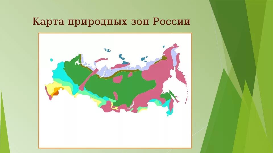 Распространение природных зон россии. Карта природных зон России 4 класс окружающий мир. Карта природные зоны России 4 класс окружающий мир для ВПР. Карта природных зон 4 класс ВПР России окружающий. Природные зоны России 4 класс окружающий мир ВПР 4 класс.