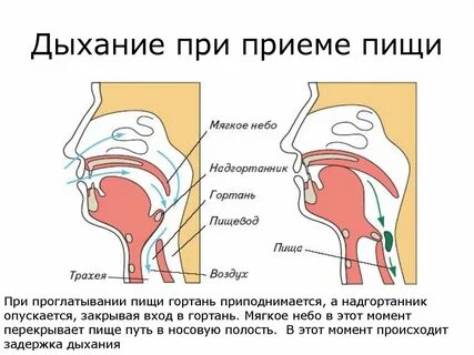 При глотании как будто что то мешает
