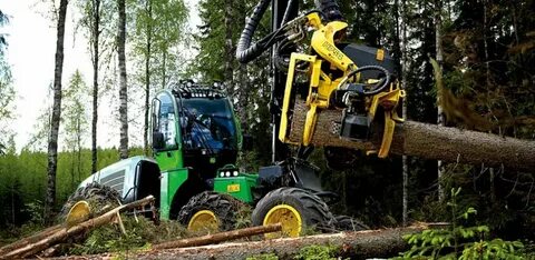 Tree harvester