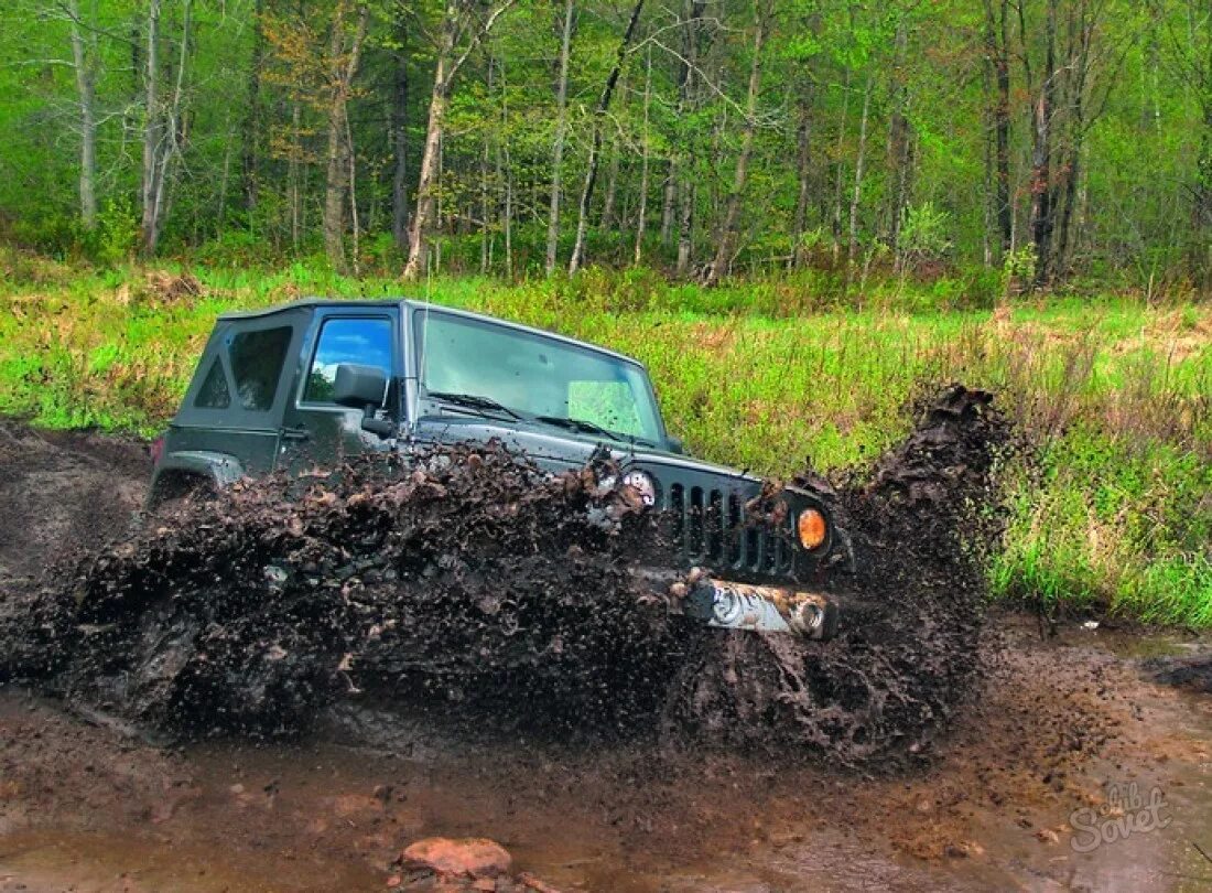 Машины для бездорожья. Монстр трак оффроад. Гонки на грузовиках по бездорожью. Авто по бездорожью. Включи машины едут по грязи.
