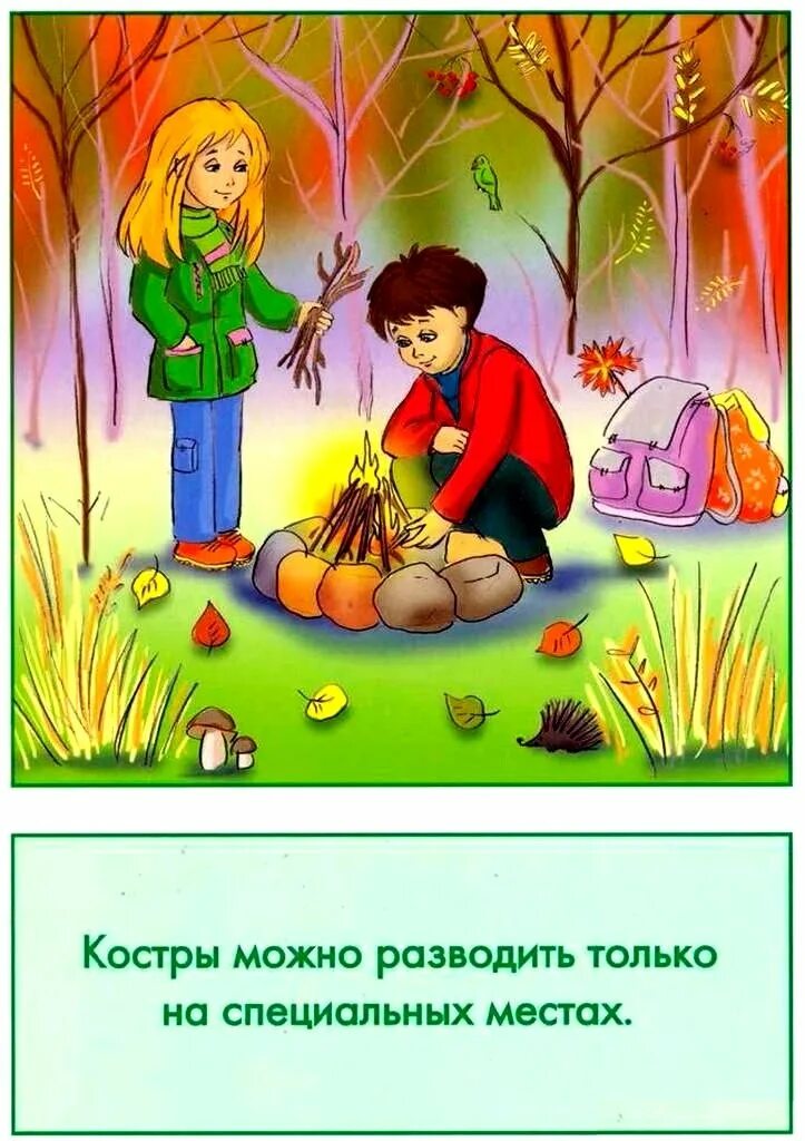 Правила поведения в природе в картинках. Безопасное проведение на природе. Безопасное поведение на природе. Безопасность на природе для детей. Поведение на природе для детей.