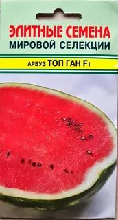 Арбуз топ