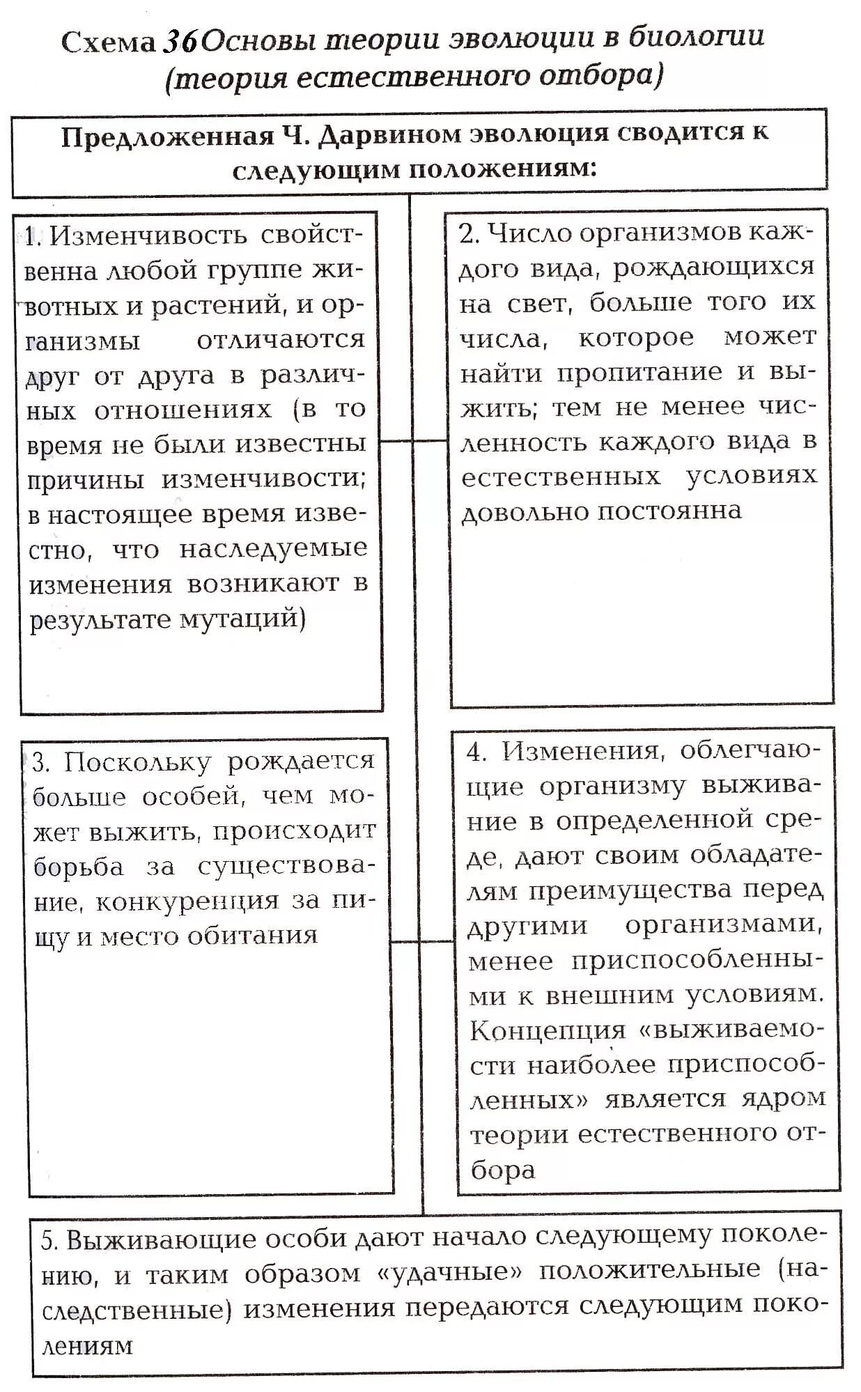 Эволюционная теория Дарвина и синтетическая теория эволюции таблица. Синтетическая теория эволюции таблица Дарвин. Сравнительная характеристика эволюционной теории Дарвина и СТЭ. Теория эволюции Дарвина и Ламарка таблица.