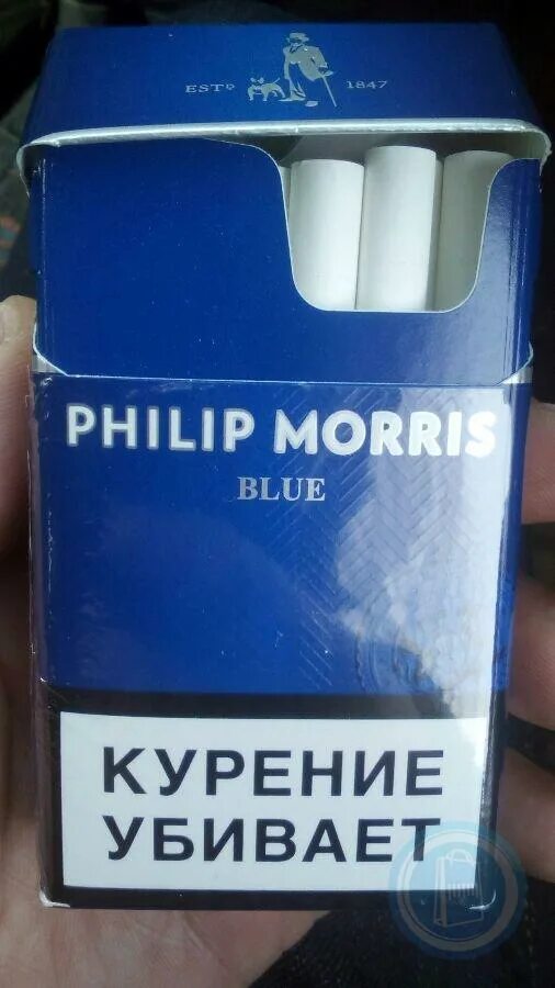 Сигареты филипс. Сигареты Philip Morris Compact Blue. Филипс Морис компакт Блю. Philip Morris сигареты синие.