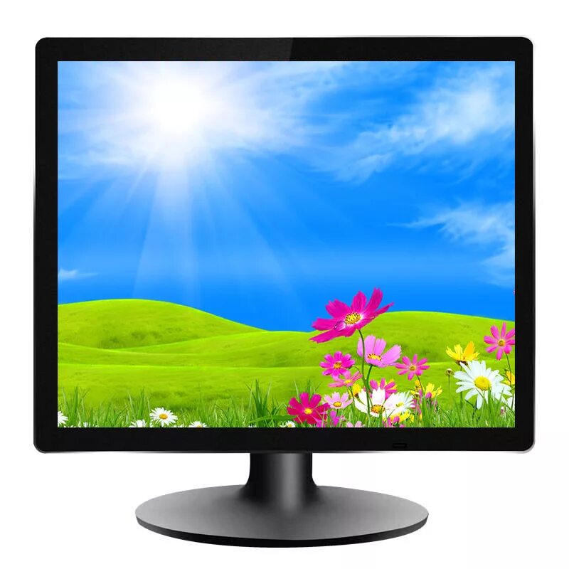 Монитор ребенку. Монитор v2150. LCD Monitor v243hql. Монитор жидкокристаллический (led LCD) 15 дюймов. LG 17 inch LCD Monitor.