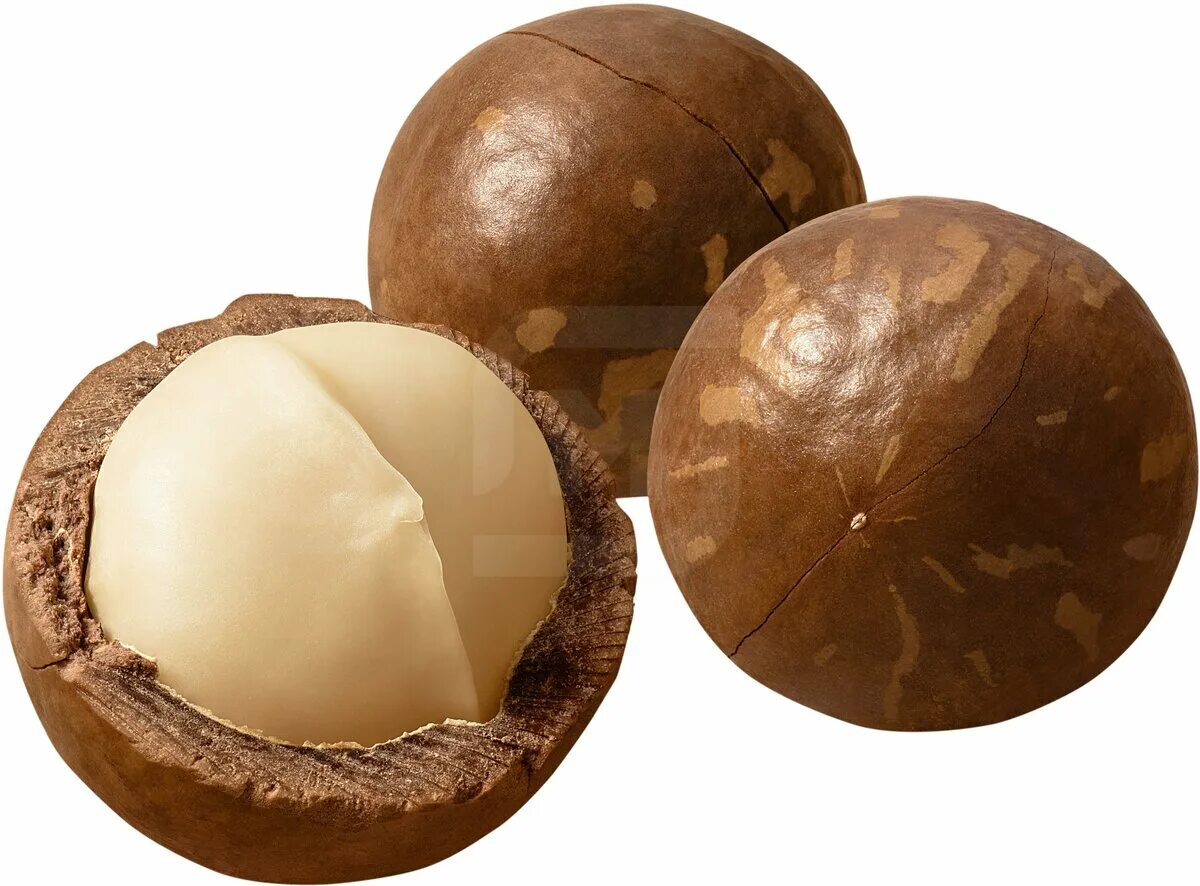 Макадамия пекан бразильский. Бразильский орех макадамия. Орехи пекан и макадамия. Круглый орех. Бразильский орех макадамия.