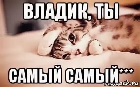 Ты тот самый который