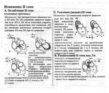 Акцент тона на аорте