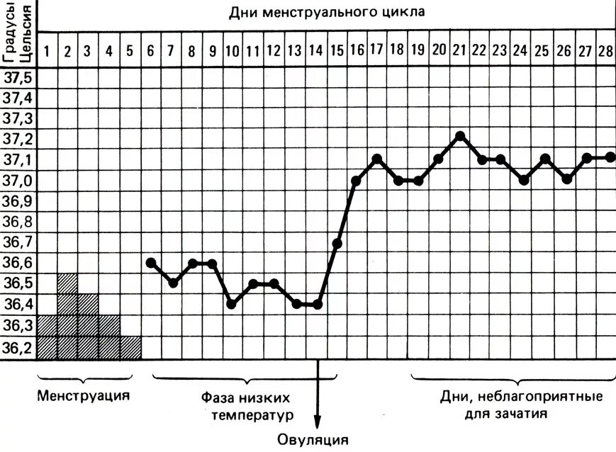 Температура женщины перед месячными. Температурный график менструационного цикла. График менструального цикла и базальной температуры. График нормального менструационного цикла. График температуры цикла месячных.