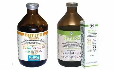 Витамины для кур весной