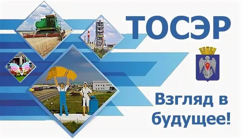 Сетевой волгоградская
