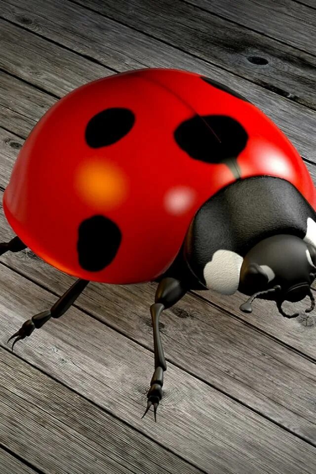 божья коровка чико. двенадцатиточечная божья коровка (coleomegilla maculata). божья коровка отзывы. божья коровка отзывы. декор божья коровка деревянная.