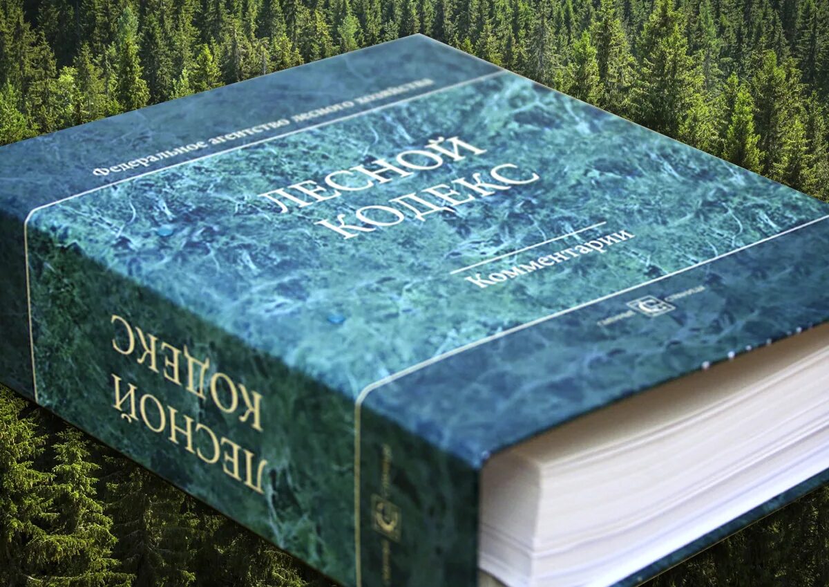 Лесной кодекс. Лесной кодекс. Лесной кодекс. Земельный и лесной кодексы. Лесной закон 2021.
