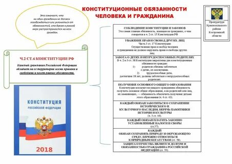 Гарантия бесплатного образования в конституции