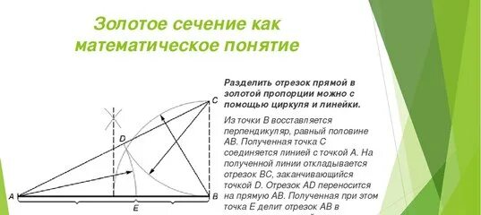 1.618 Золотое сечение. Число фи золотое сечение. Золотое сечение Фибоначчи. Число Фибоначчи золотое сечение.