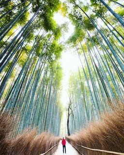 Природа которую не замечают
