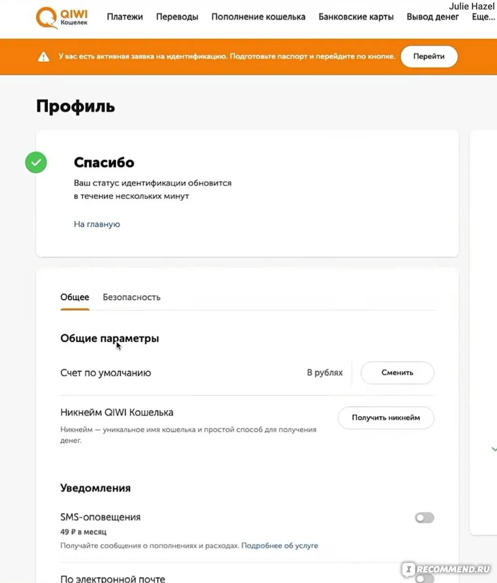 Qiwi статусы. Статусы qiwi кошелька. профессиональный статус киви. идентификация киви кошелька. qiwi основной статус.
