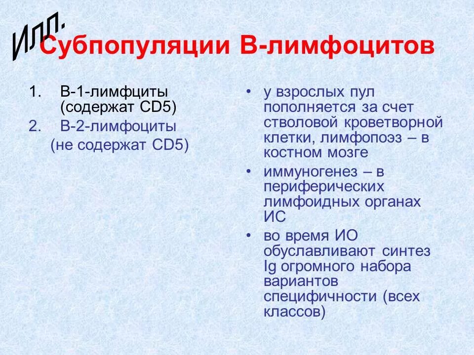 Популяции и субпопуляции лимфоцитов. Основные субпопуляции лимфоцитов. Субпопуляцич б лимфоцитов. Субпопуляции в лимфоцитов