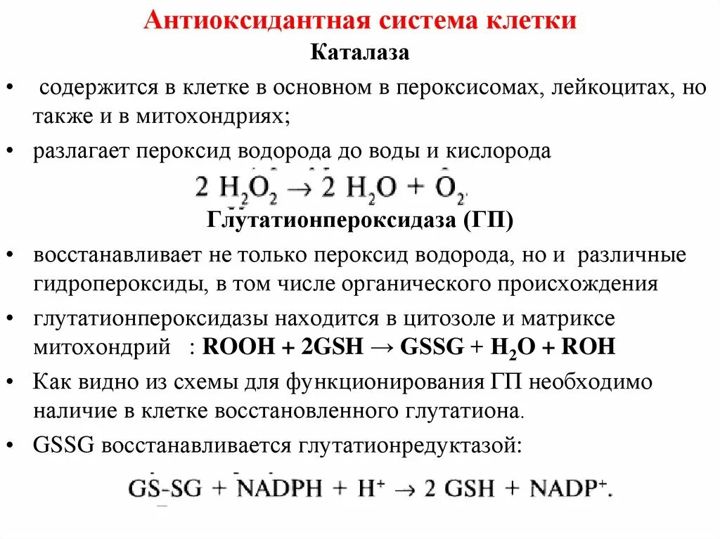 Антиоксидантные ферменты. Антиоксидантные системы клеток. Система антиоксидантной защиты функции. Антиоксидантная защита схема биохимия. Системы антиоксидантной защиты клетки.