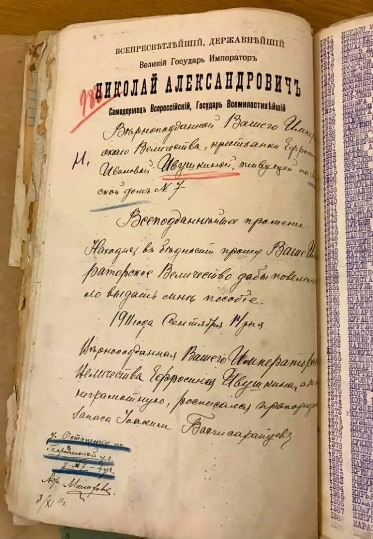 Осмелюсь всеподданнейше донести вам всемилостивейший государь. Ходатайство на имя государя. государь император принимает рапорт. прошение помощи у русских императора. архивы комиссии прошений императора николая.